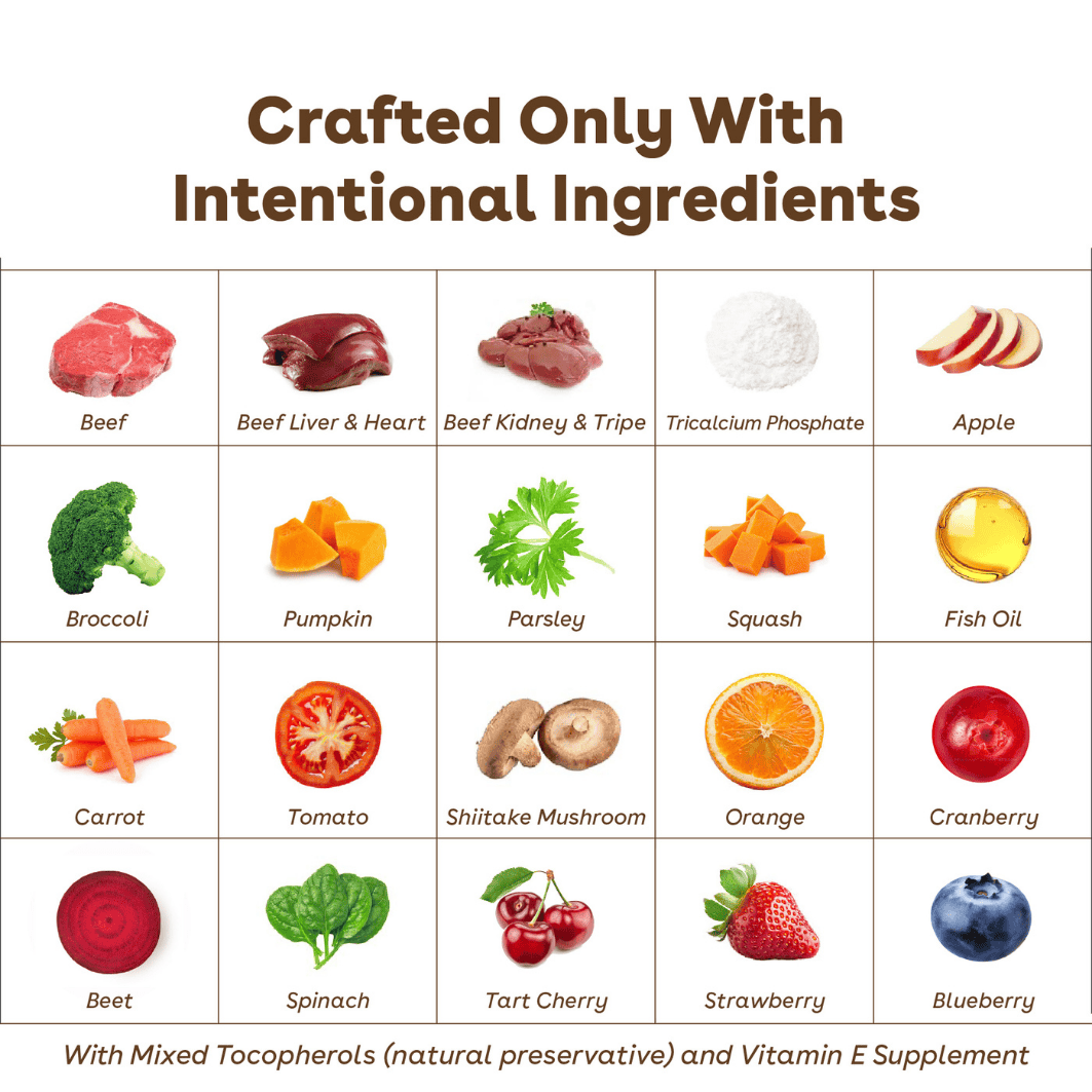 Pupford - Vente Nourriture – chien - Nourriture pour chiens crue lyophilisée - Recette au bœuf2