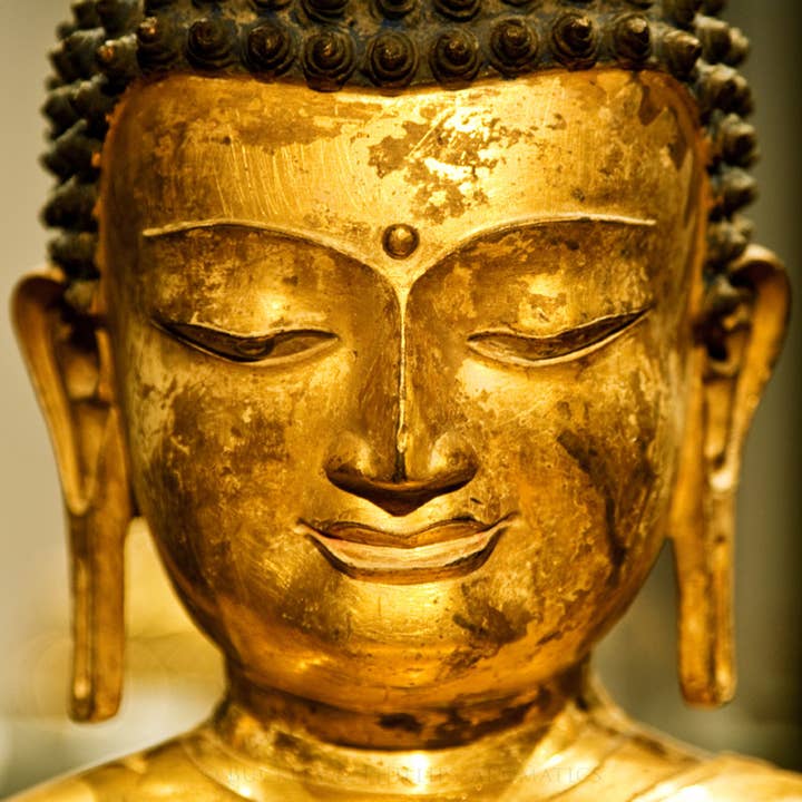 Buckley & Phillips Aromatics - Wholesale Fragrance Oil - Buddhist Temple Fragrance Oil