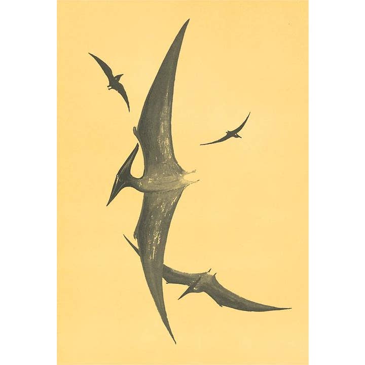 Found Image Press - Wholesale Stationery/Notecard Set - Greeting Card AN-256 Pterodons