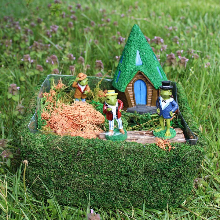 Kurated Korner - Wholesale Terrarium - Esterno DIY Dried Moss Enchanted Landscape Terrarium Starter6