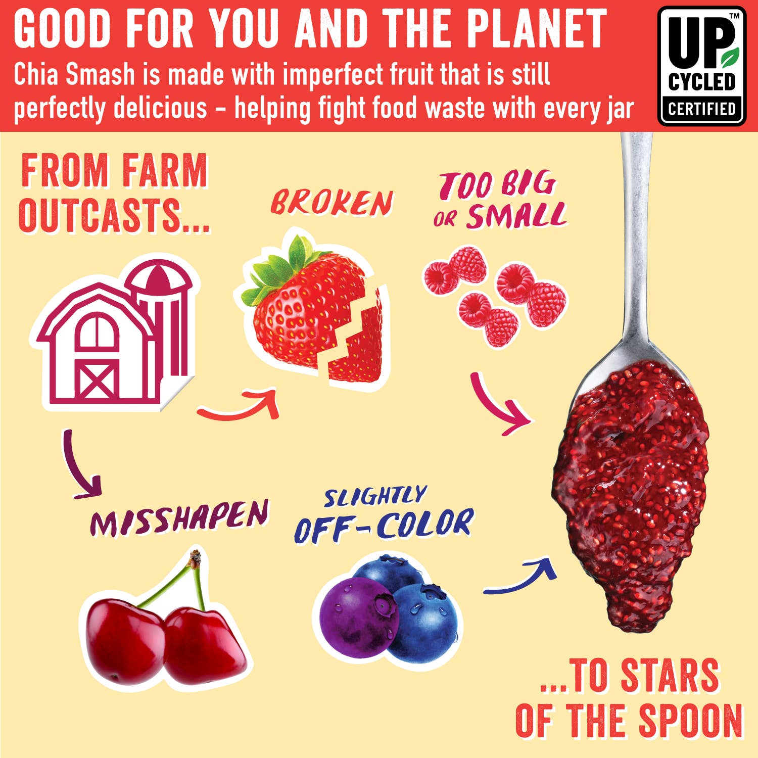 Smash Foods - Wholesale Jam/Jelly - Strawberry - Smash Superfood Jam8