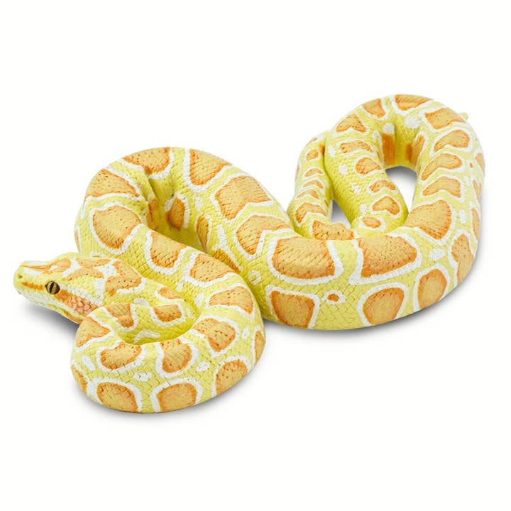 Safari Ltd. - Wholesale Decorative Figurine - Albino Burmese Python - 1002504