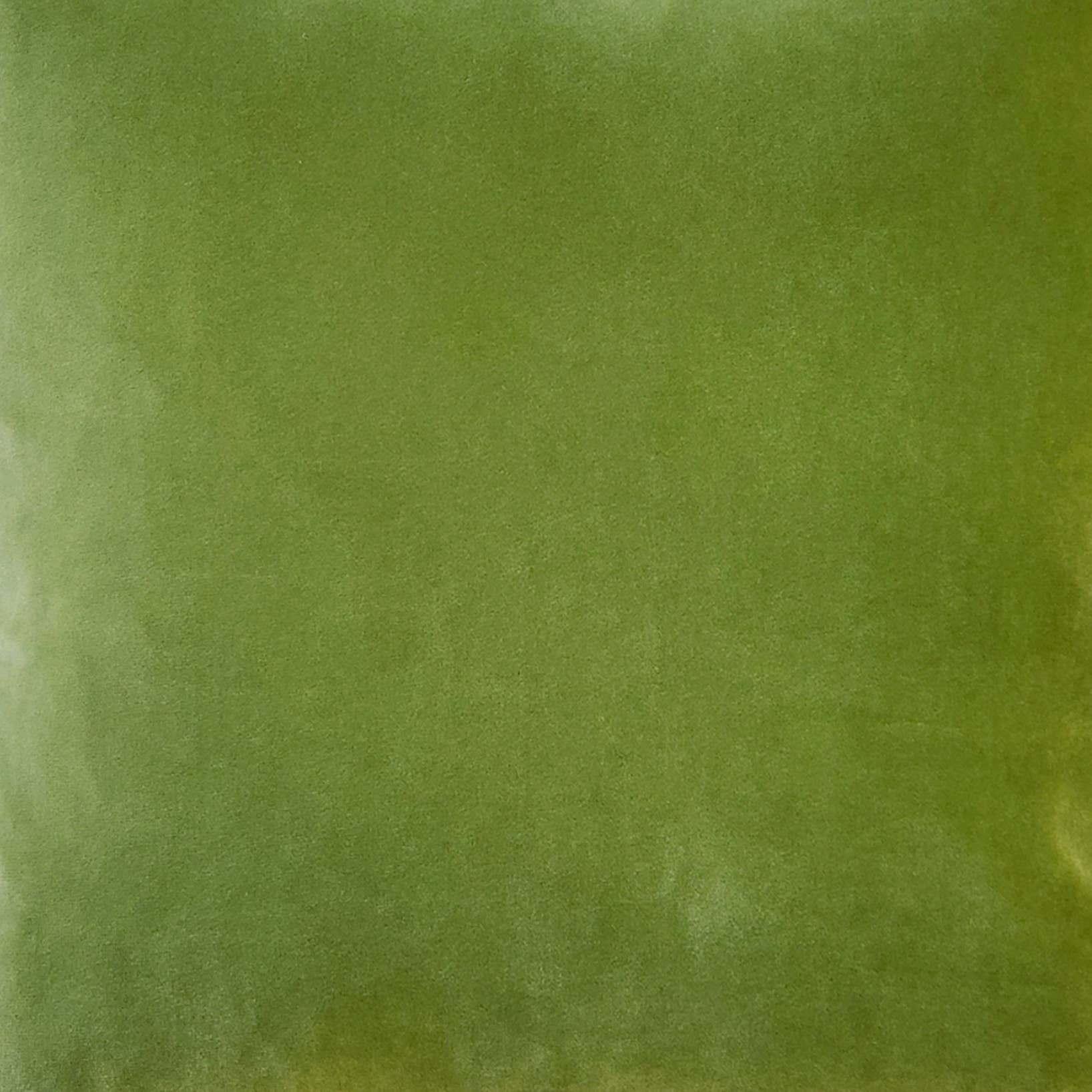 Pillow Decor - Wholesale Throw/Decorative Pillow - Castello Summer Green Velvet Throw Pillow, 20"x20" Square1