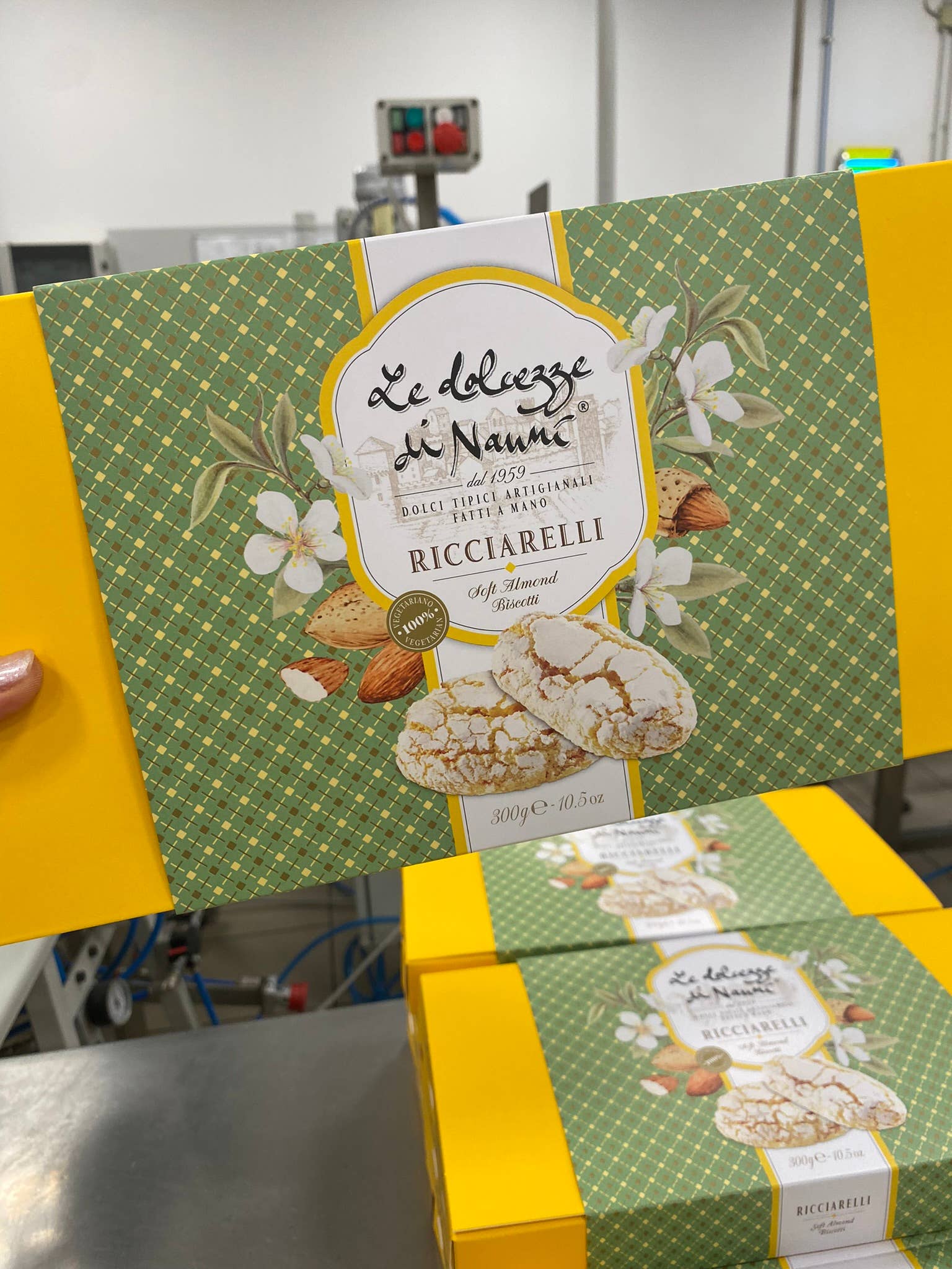 Le Dolcezze di Nanni - Venta al por mayor Galletas - 309_TARTA DE ALMENDRAS BLANDAS HECHA A MANO RICCIARELLI 1