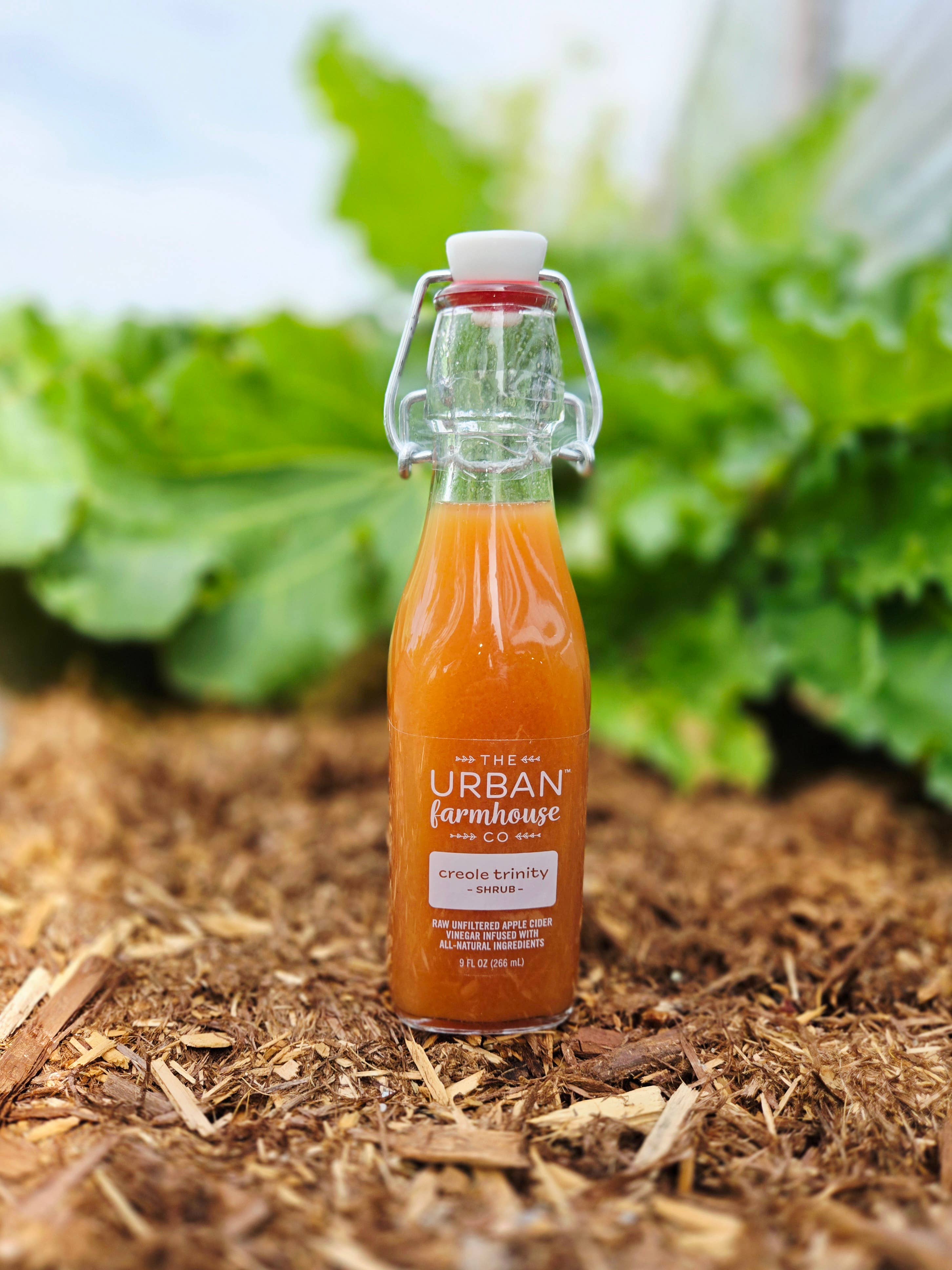The Urban Farmhouse Co - Wholesale Vinegar - All Season Shrubs - Organic Living Vinegars11