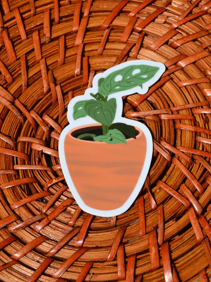 Pegatina Planta Queso para venta al por mayor de Split Leaf Designs