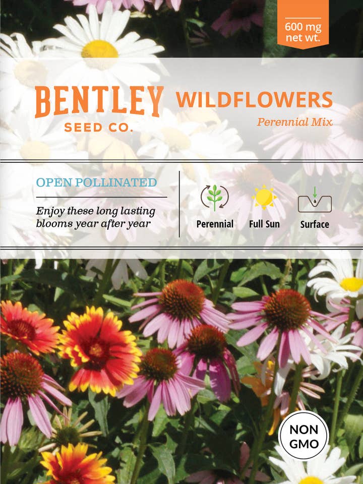 Wildblume, Mehrjährige Wildblumen-Mischsamenpackungen für den Großhandel von Bentley Seed Co.