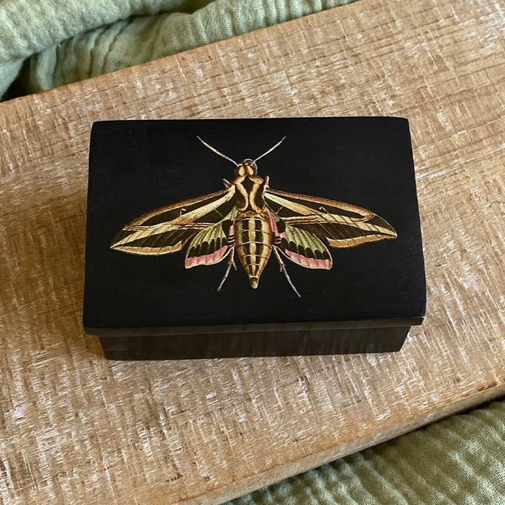 Madison Bay Co. - Historical Home Decor Reproductions - Wholesale Jewelry Box/Organizer - 3" Sphinx Moth Black Soapstone Trinket-Jewelry Box