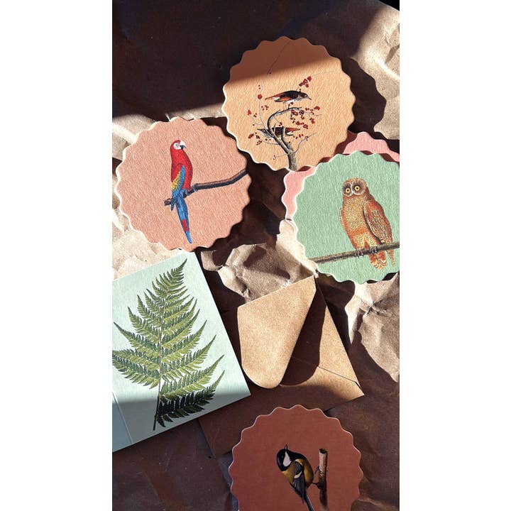 30x40 - Wholesale Onderzetters - Set van 10 onderzetters met vogelmotieven 🦉🦜🐦2