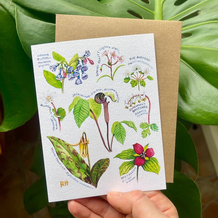 Spring Wildflowers Greeting Card for wholesale by Rosalie Haizlett Illustration