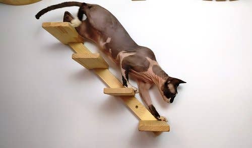 CATMUEBLES OÜ - Vente Griffoir – chat - Escalier en bois pour chat avec bords arrondis3