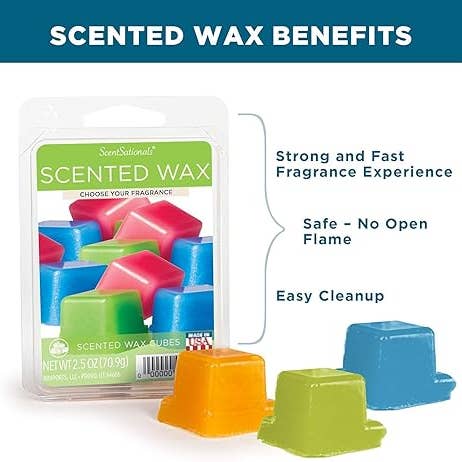 Rimports - Wholesale Wax Melt - Eucalyptus & Sea Salt Fragrance Wax Melts 2.5oz