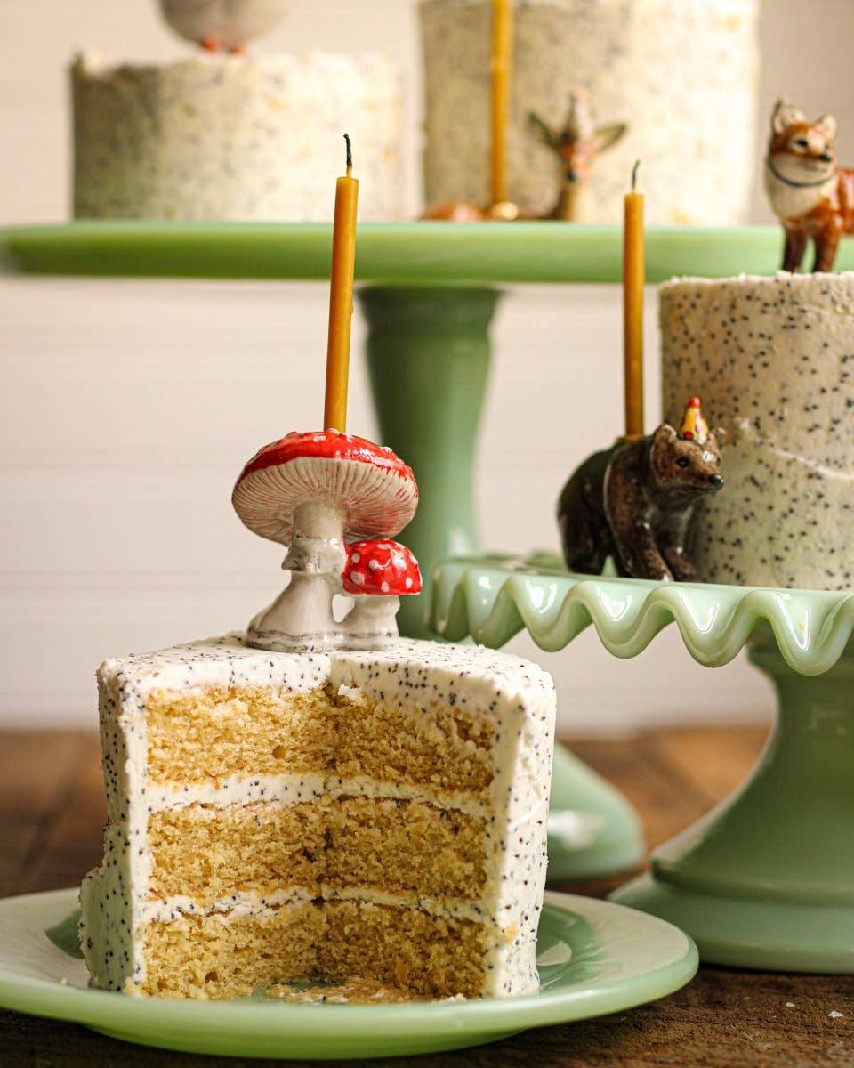 An autumnal mushroom cake 🍰🍄 : r/cakedecorating