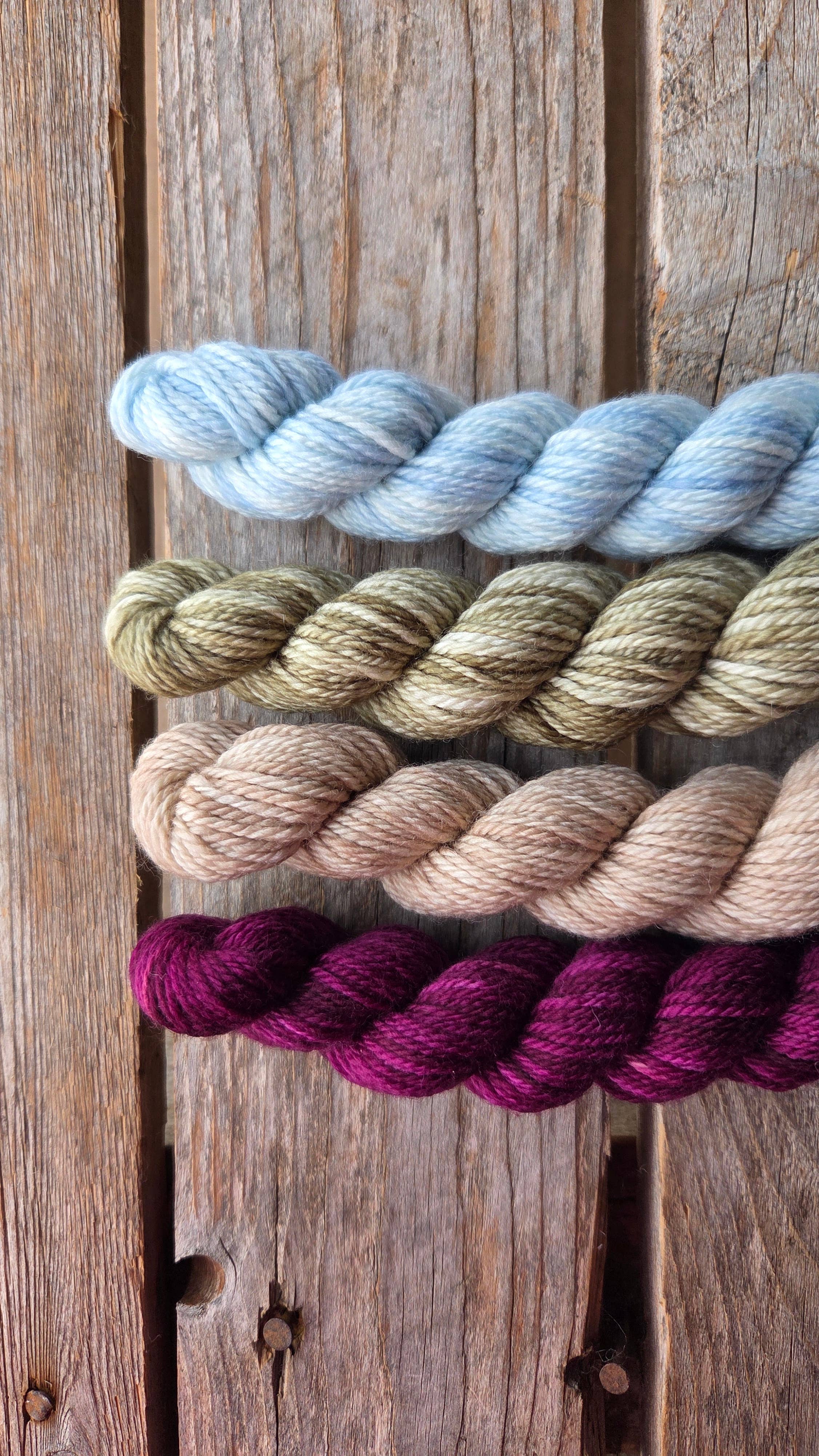 Koigu Wool Designs - Wholesale Yarn - Little Bits Headband Yarn Pack - LYS Day 20261