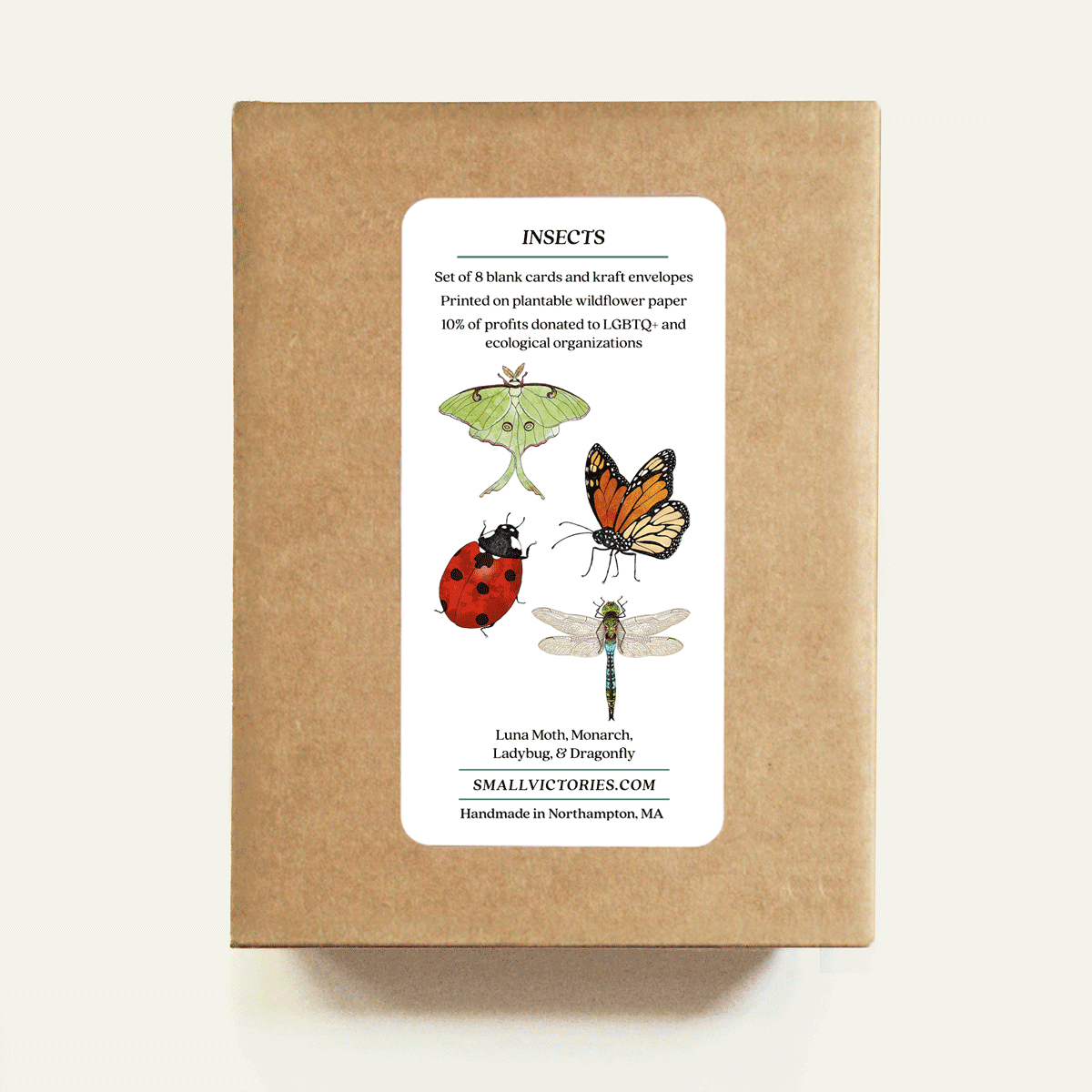 Small Victories - Wholesale Stationery/Notecard Set - Insect Card Set - Plantable Wildflower Seed Paper2
