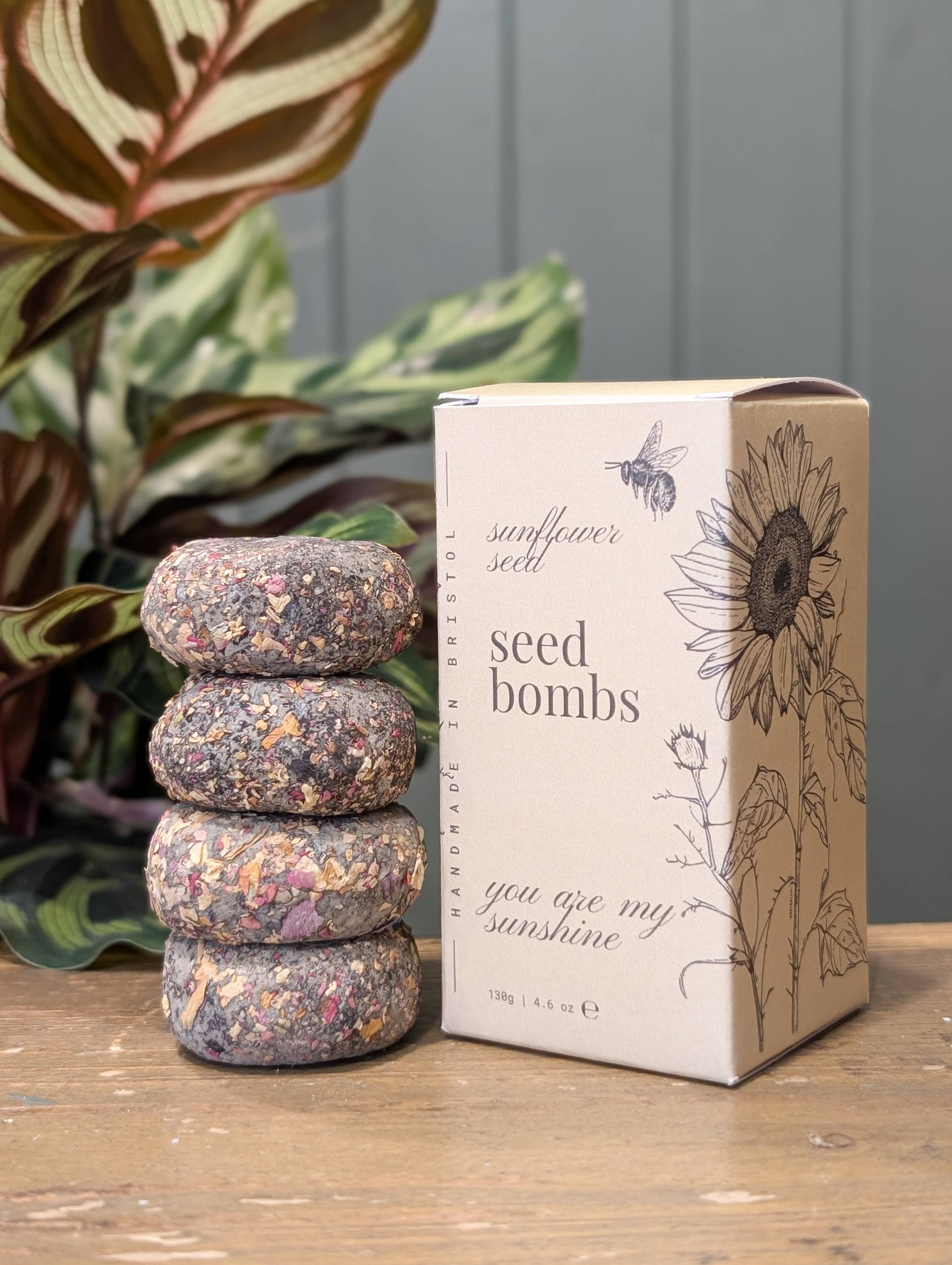 Banksia Botanicals - Wholesale Plant seeds - You are my Sunshine Sunflower Seed Bombs