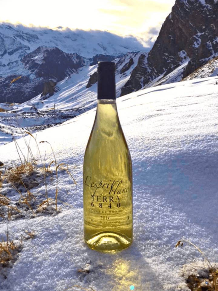 L'Esprit Blanc 2016 (6 flaskor) för wholesale av TERRA 6840