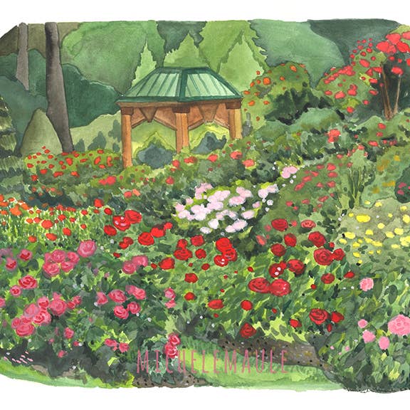 8x10" Portland Rose Garden Print for wholesale by michele maule