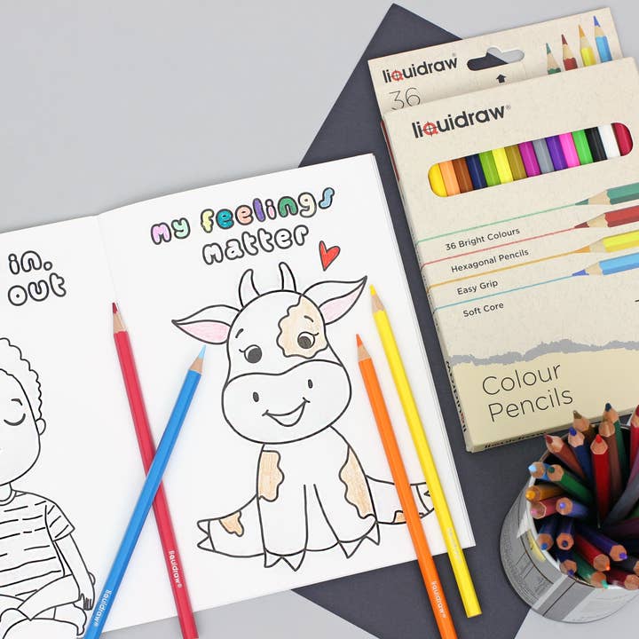 Liquidraw - Wholesale Coloured pencil - Liquidraw 36 Adult Colouring Pencils, Premium Art Coloured Drawing Pencils for Adults and Professionals5