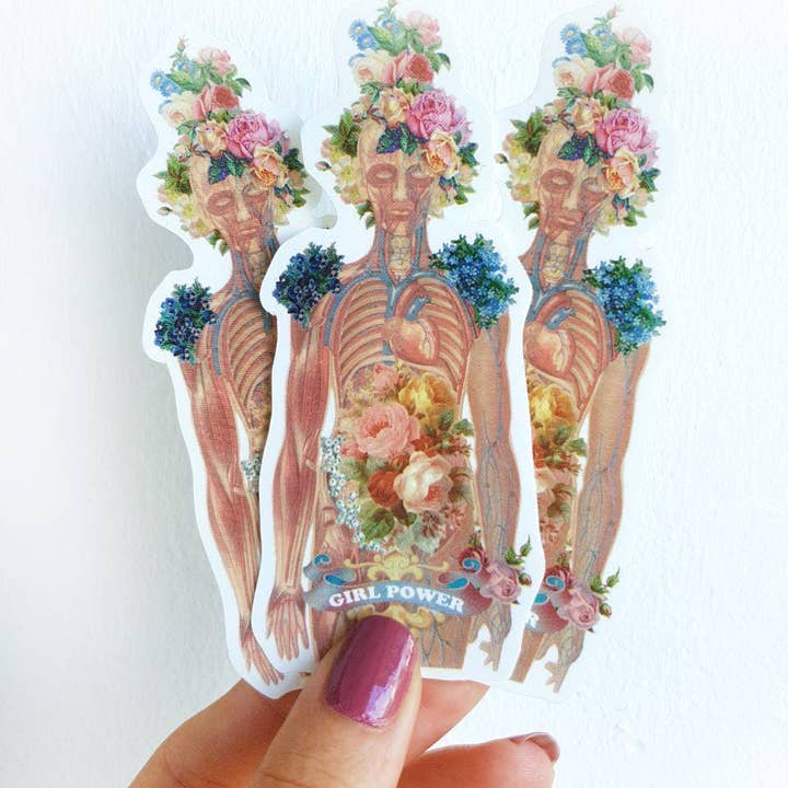 Stickerset feministische anatomie voor wholesale door PRRINT!