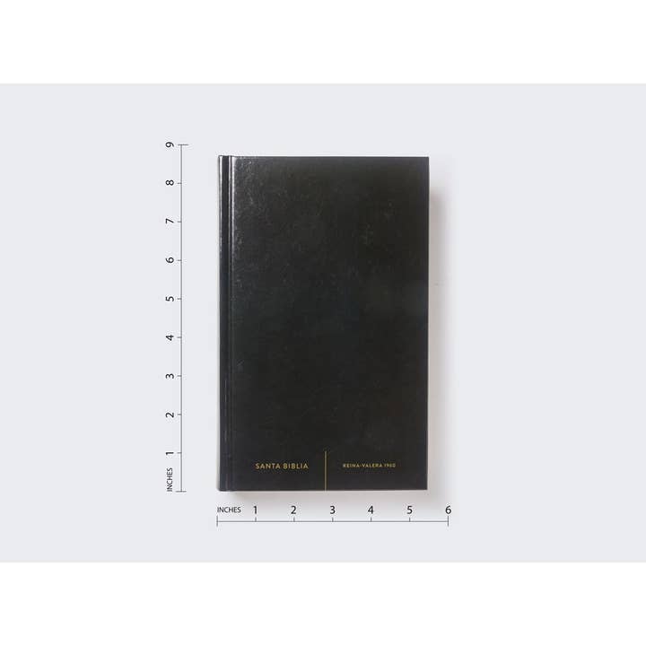 HarperCollins Christian Publishing - Wholesale Religion - RVR60, Santa Biblia, Premio y Regalo, Letra grande, Tapa dur6