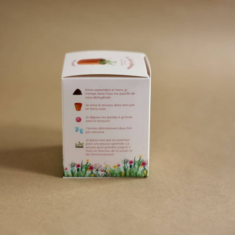 Flowrette - Wholesale Plant Seeds - Planting kit12