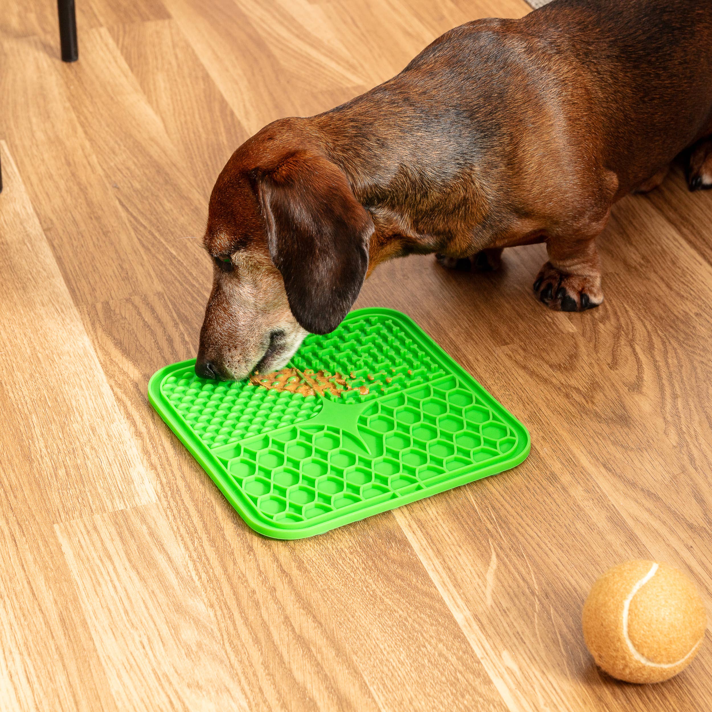 Park Life Designs – wholesale Pet food mat – Dog – Calming Lick Mat23