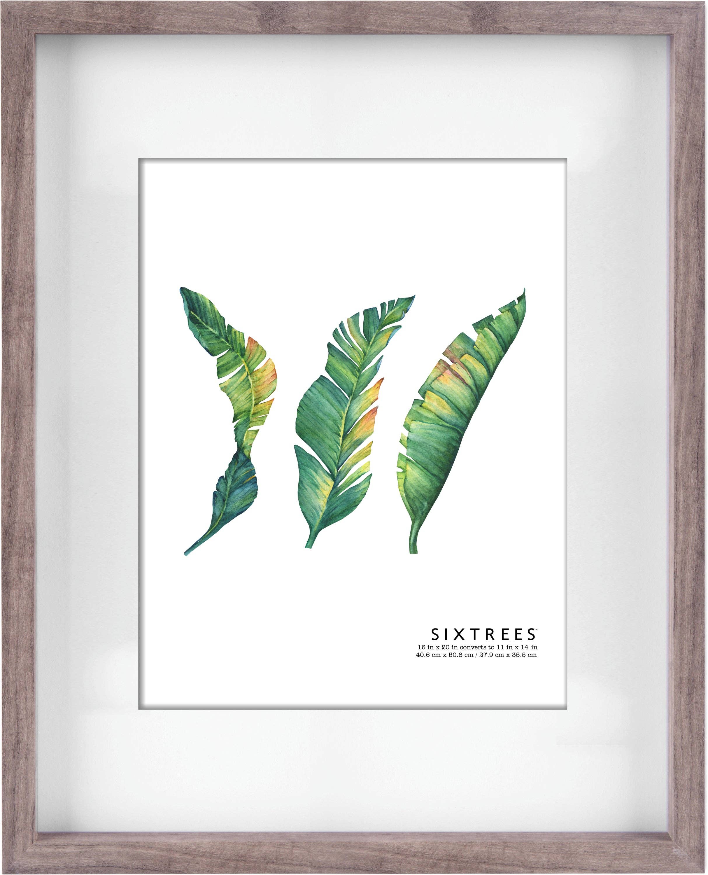 Sixtrees - Wholesale Picture Frame - Ethan Wood Matted Picture Frame - 11X14 or 16X20 - Multiple5