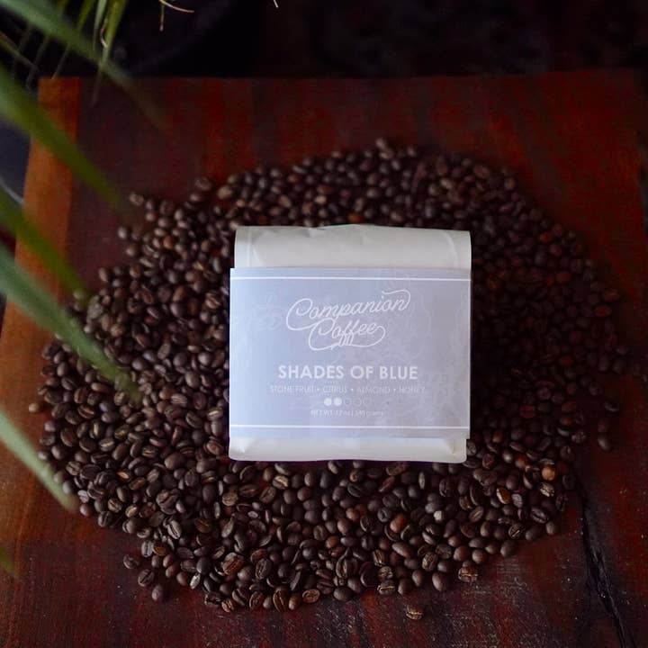 Shades of Blue- Single Origin Coffee for wholesale by Companion Coffee Roasters