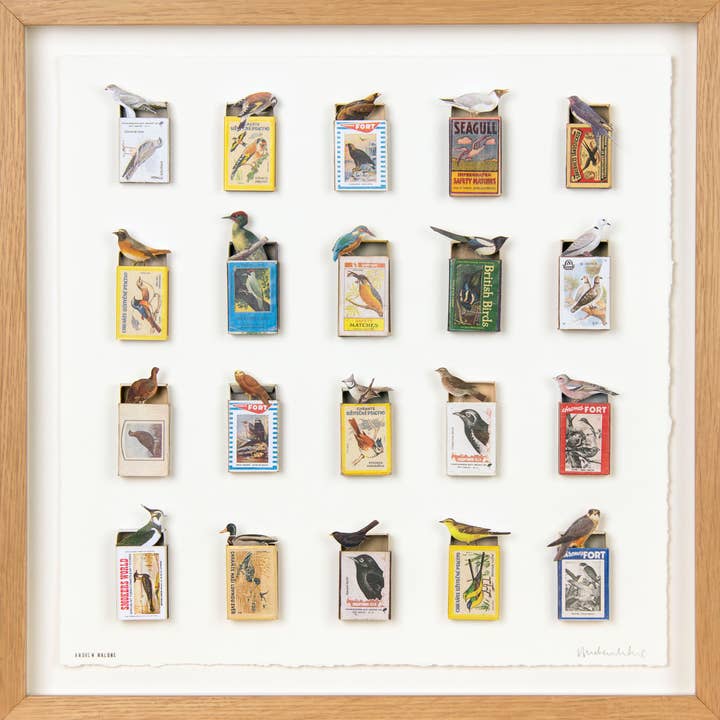 Matchbox Aviary for wholesale by Andrew Malone artist