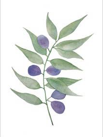 Tarjeta postal - Olive Branch para venta al por mayor de Wander by Elise