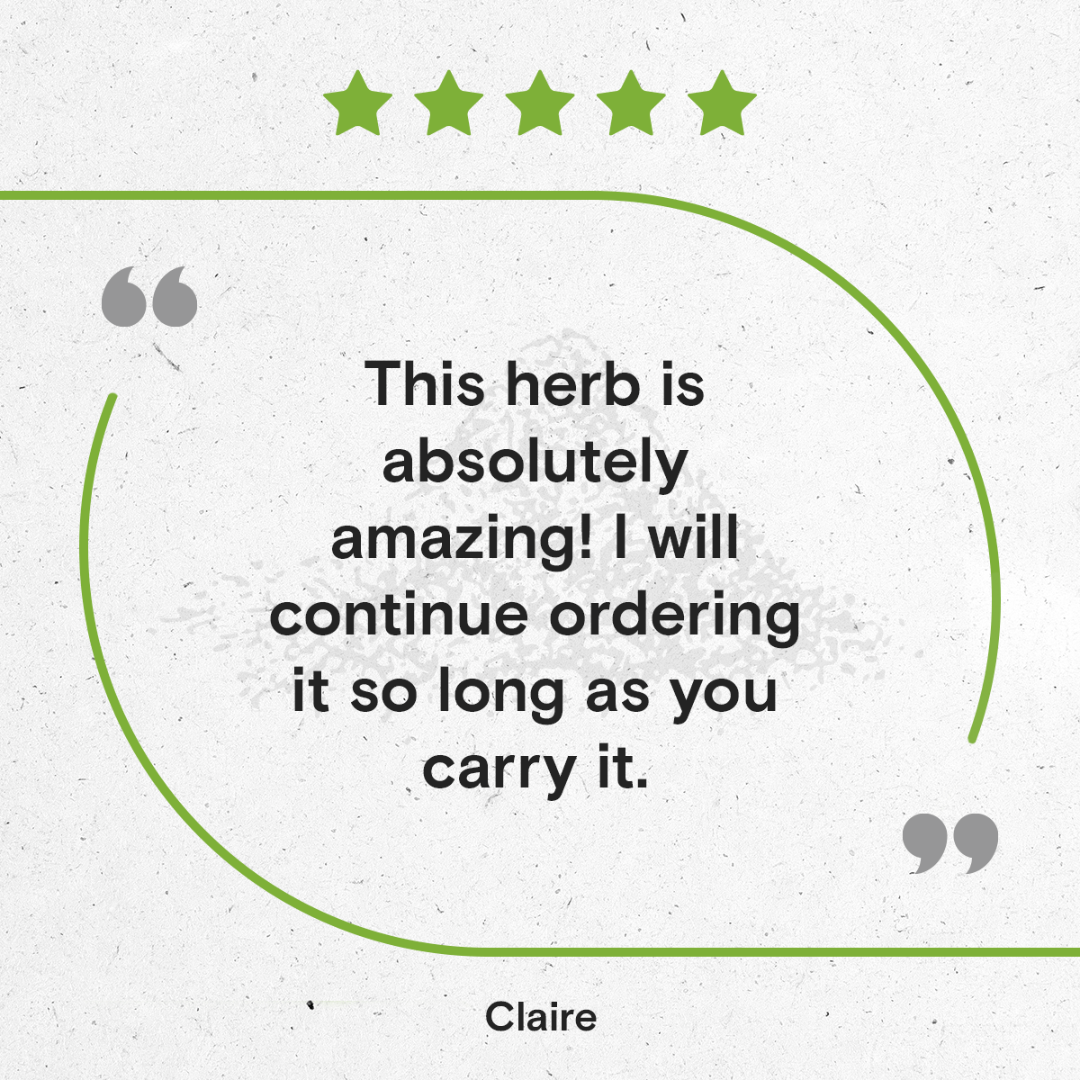 Secrets Of The Tribe - Wholesale Tincture - Hu Zhang Tincture6