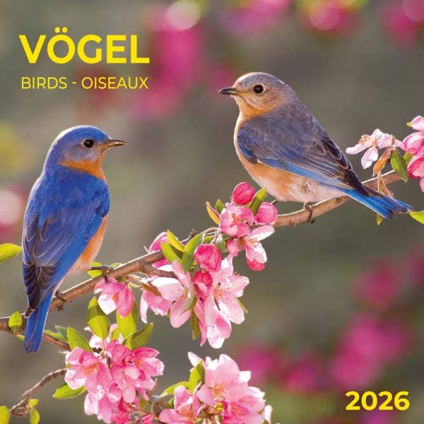Birds 2026 Wall Calendar. Poster Included for wholesale by VisionWorks LLC
