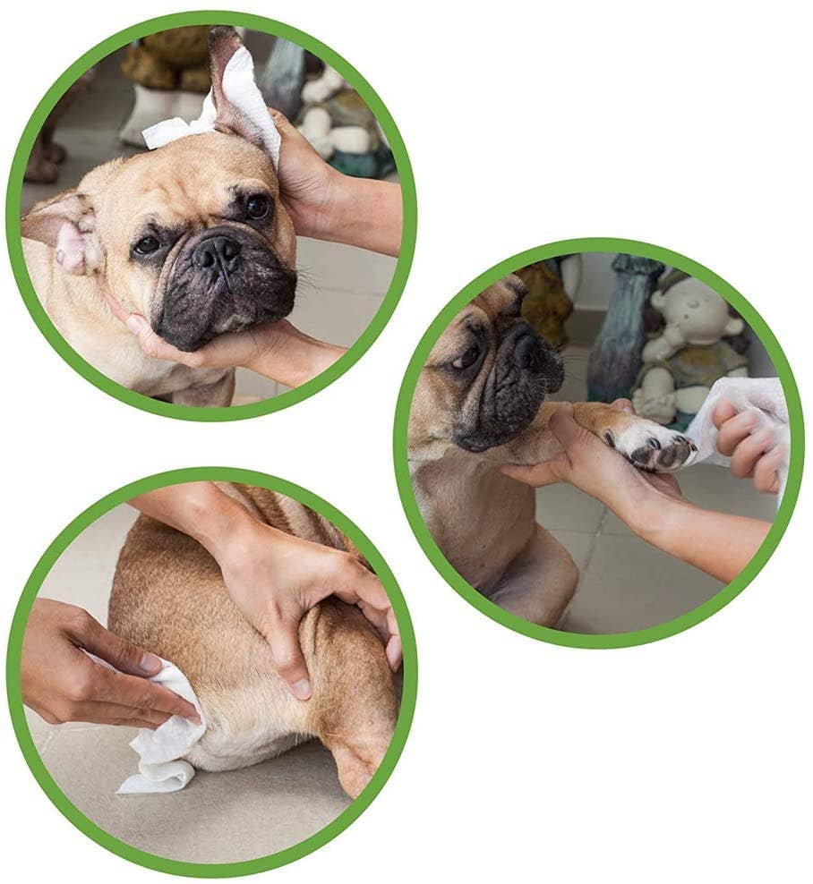 Croci S.p.A. - Wholesale Pet Cleaning Supplies - Moist wipes for dogs and cats - Eco PetWipes - Croci2