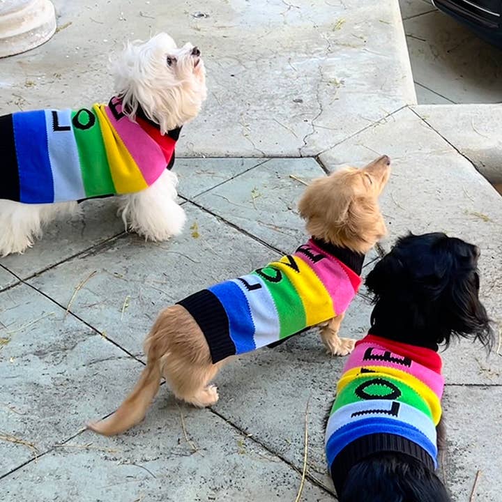 AIMER pour la vente par Canine Cashmere