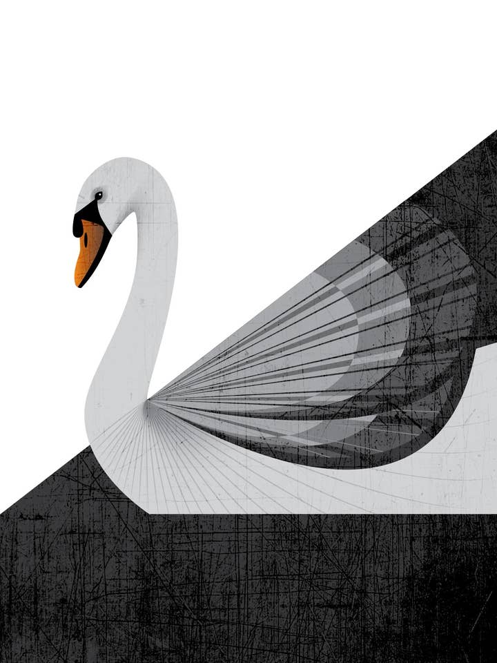 Swan Print for wholesale by Lucky Skye Graphics