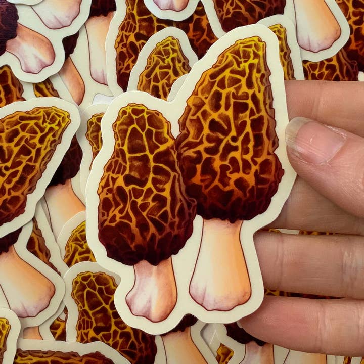 Adhesivo Morel para venta al por mayor de Psychedelic Lens