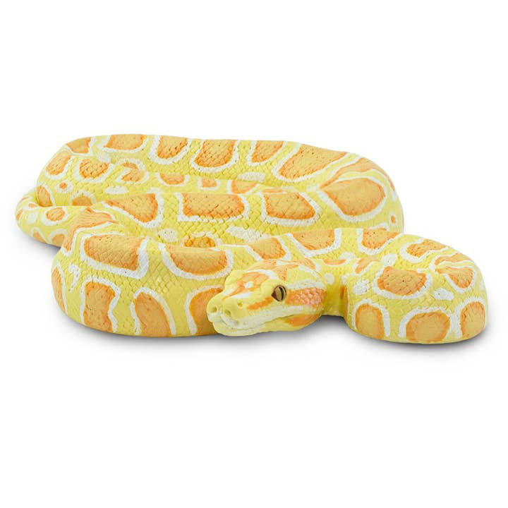 Safari Ltd. - Wholesale Decorative Figurine - Albino Burmese Python - 1002502
