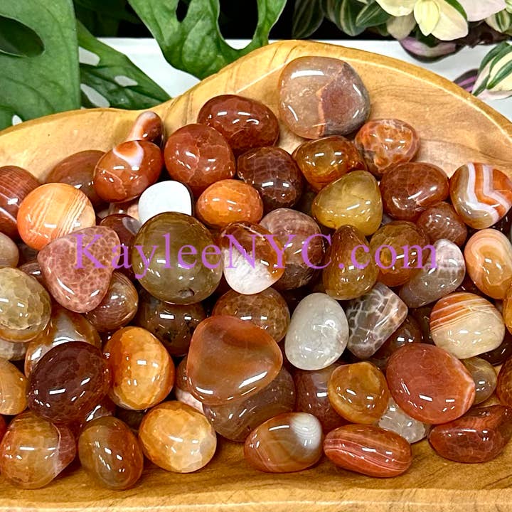 KayleeNYC - Wholesale Spiritual Stone/Crystal - 2 Lbs Natural Carnelian Tumble Healing Energy1
