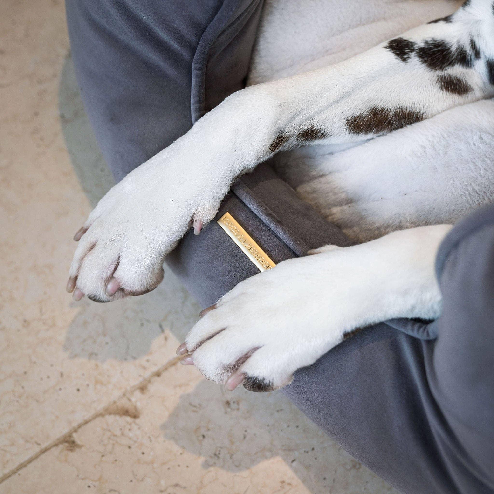 High Wall Bed For Dogs in Silt Velvet for wholesale on Faire2