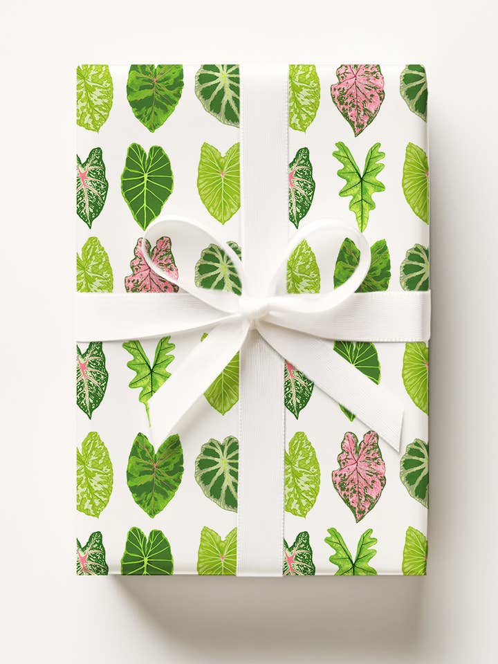 Elephant Ears Leaves Gift Wrap for wholesale by La Plante Carnivore