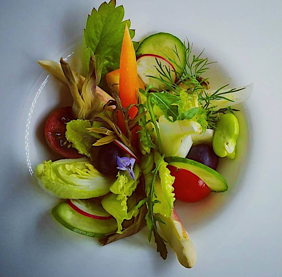 Rinci - Wholesale Pickled Vegetables - Paccasassi del Conero in extra virgin olive oil9