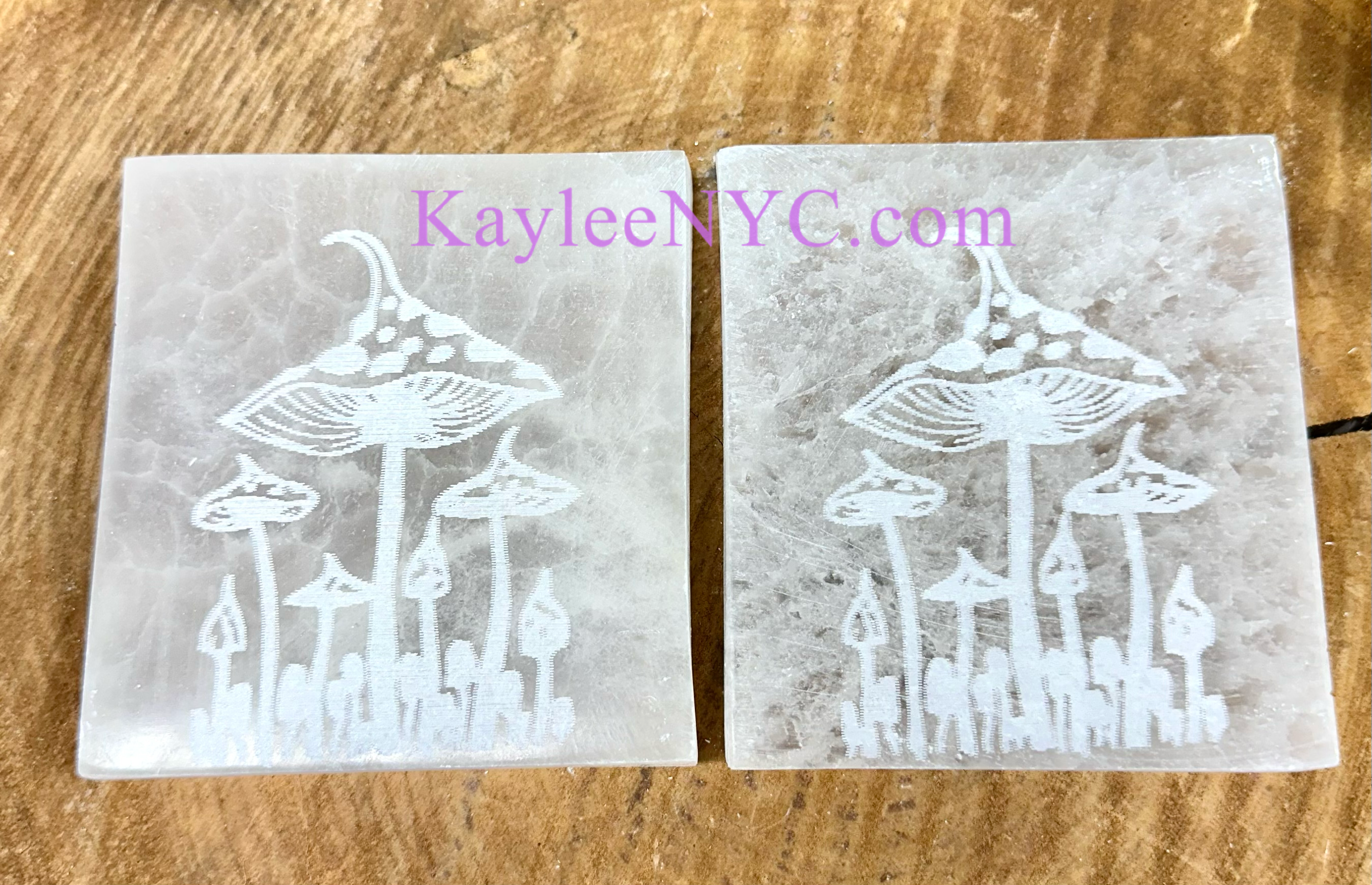 KayleeNYC - Wholesale Crystal Charging Plate - Natural Selenite Satin Spar Mushroom Charging Plate2