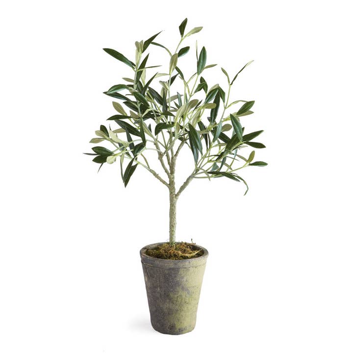Napa Home & Garden - Wholesale Artificial Plant - Olive Tree Potted 17"