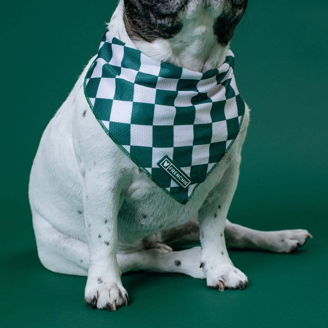Frenchie - Wholesale Hondenbandana - Hond - Frenchie Cooling Bandana - Emerald City5