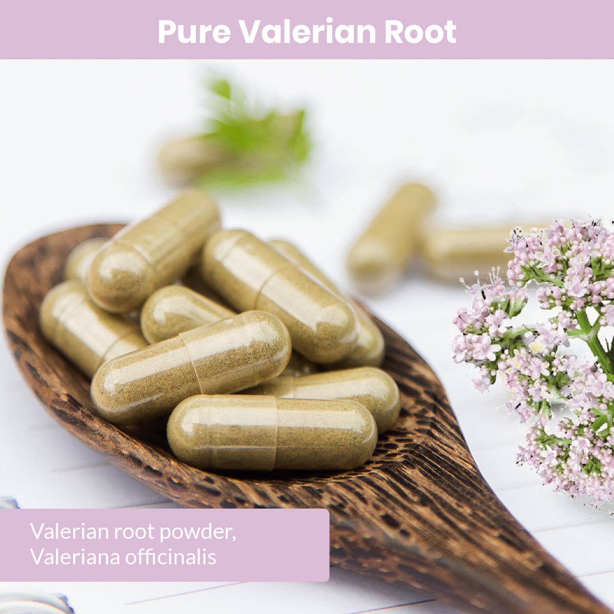 Earthly Love Imports - Wholesale Oral Supplement/Vitamin - Pure Valerian Root6