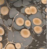 STUDIO CALEIDOSCOPE - Wholesale Portemonnee - Dames - Daisy Purse - gemarmerd leer14