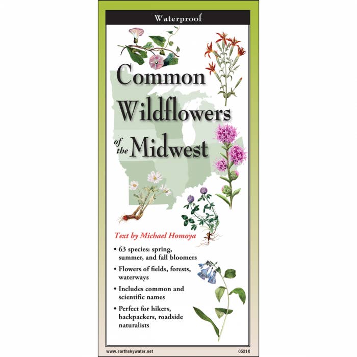 Earth Sky + Water - Wholesale Nature & Outdoors - Common Wildflowers of the Midwest