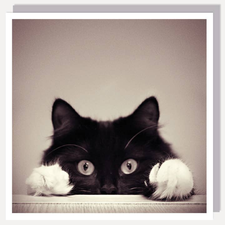 Cat Paws - 6x6" Greeting Card for wholesale by Nelson Line