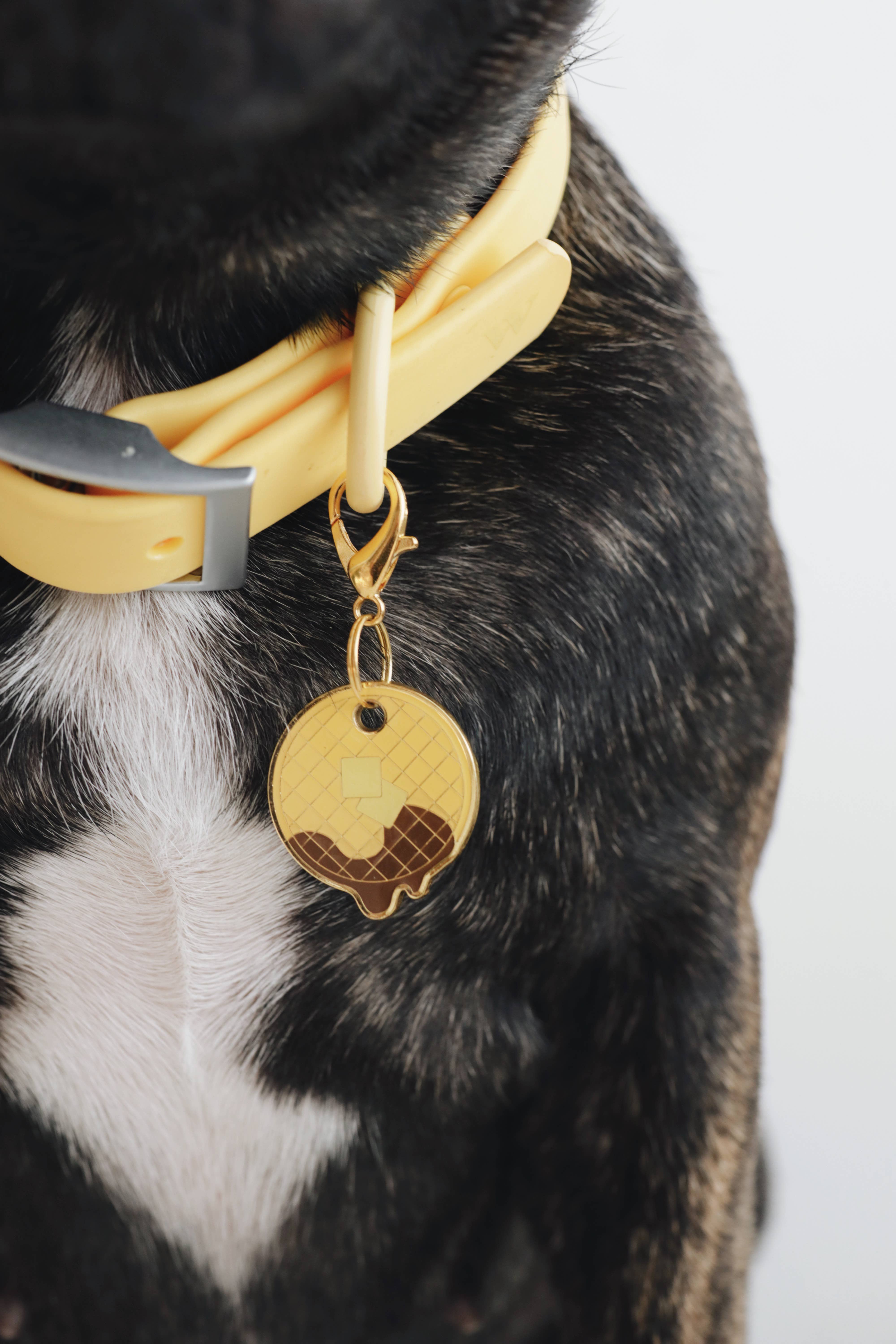 Trill Paws - Wholesale Pet Identification Tag - Dog - Trill Paws ID Tag - Retail Display7